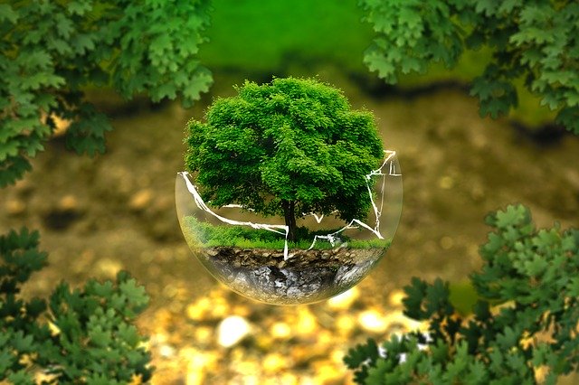 Biodiversité