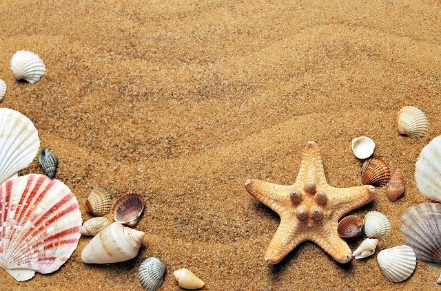 littoral